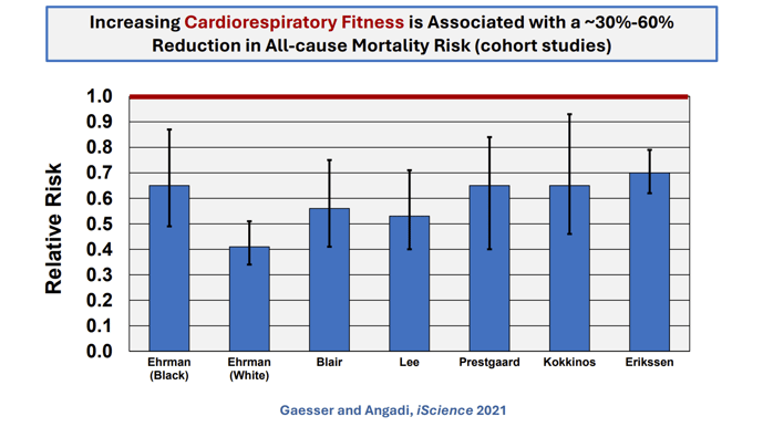 AG_BlogPosts_2024_DHM Obesity_Image 3